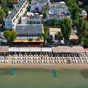ellenőrizze a rendelkezésre állást
